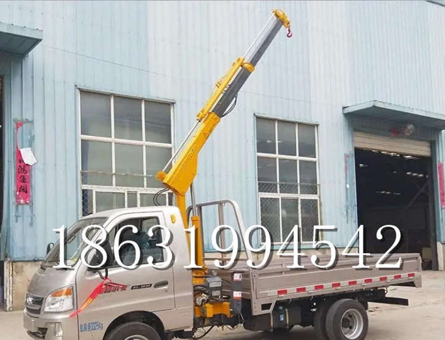 伽师县车载吊机移动起重机液压起重机伽师县附近车载吊机220伏家用吊机小吊机220V搬运